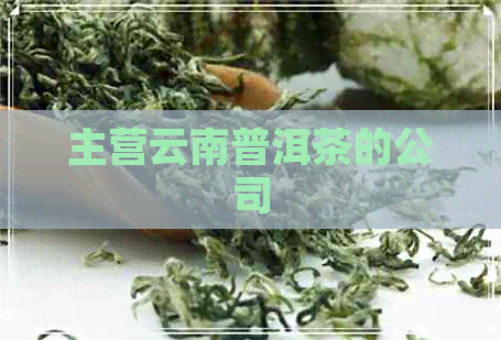 主营云南普洱茶的公司