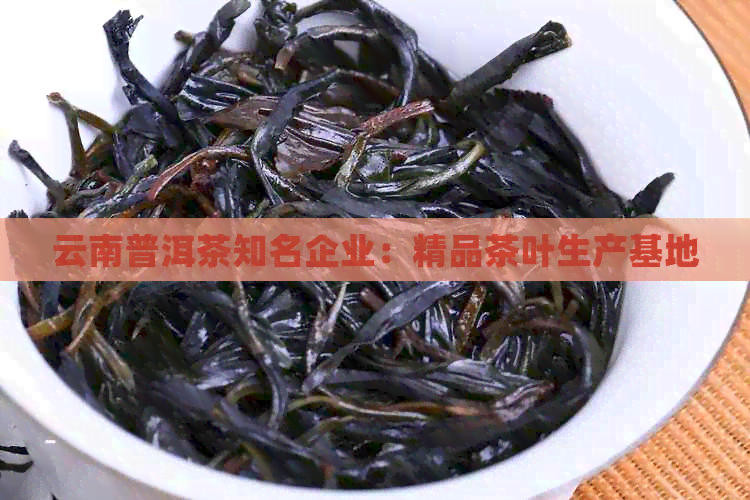 云南普洱茶知名企业：精品茶叶生产基地