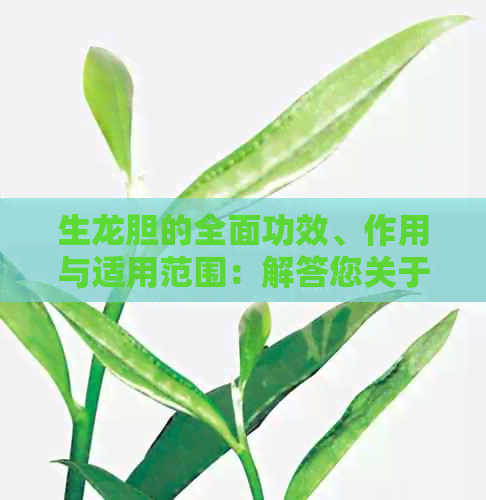 生龙胆的全面功效、作用与适用范围：解答您关于龙胆草的所有疑问