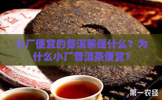 小厂便宜的普洱茶是什么？为什么小厂普洱茶便宜？