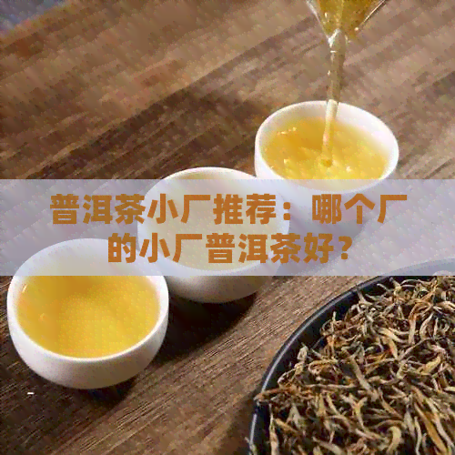 普洱茶小厂推荐：哪个厂的小厂普洱茶好？