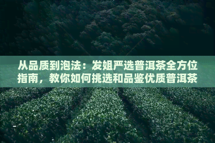 从品质到泡法：发姐严选普洱茶全方位指南，教你如何挑选和品鉴优质普洱茶