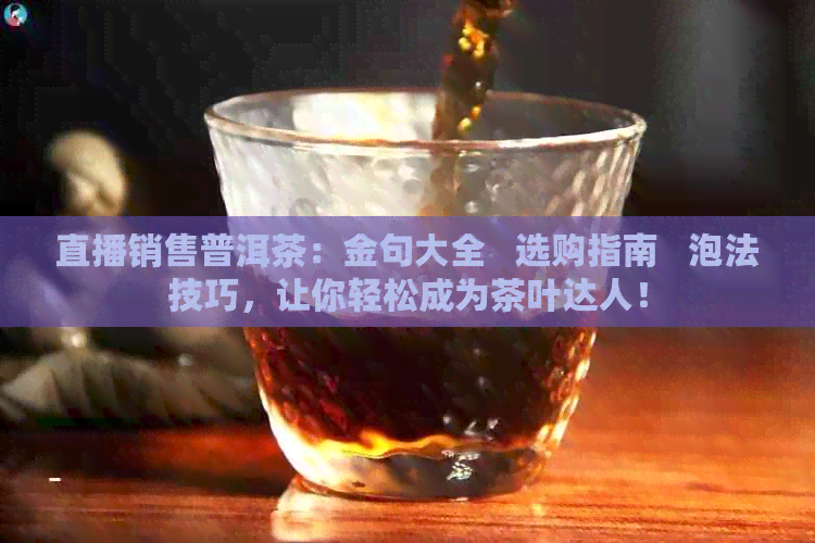 直播销售普洱茶：金句大全   选购指南   泡法技巧，让你轻松成为茶叶达人！