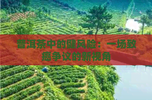 普洱茶中的健风险：一场致癌争议的新视角