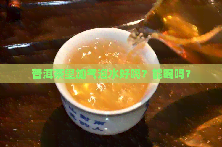 普洱茶里加气泡水好吗？能喝吗？