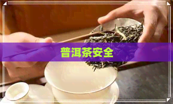 普洱茶安全