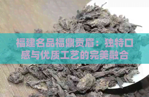 福建名品福鼎贡眉：独特口感与优质工艺的完美融合