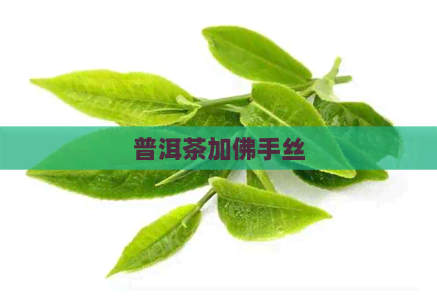 普洱茶加佛手丝