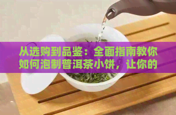 从选购到品鉴：全面指南教你如何泡制普洱茶小饼，让你的喝茶之旅更上一层楼