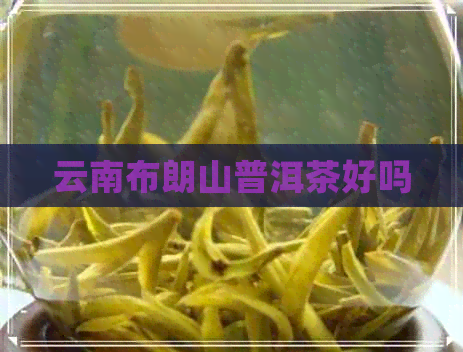 云南布朗山普洱茶好吗