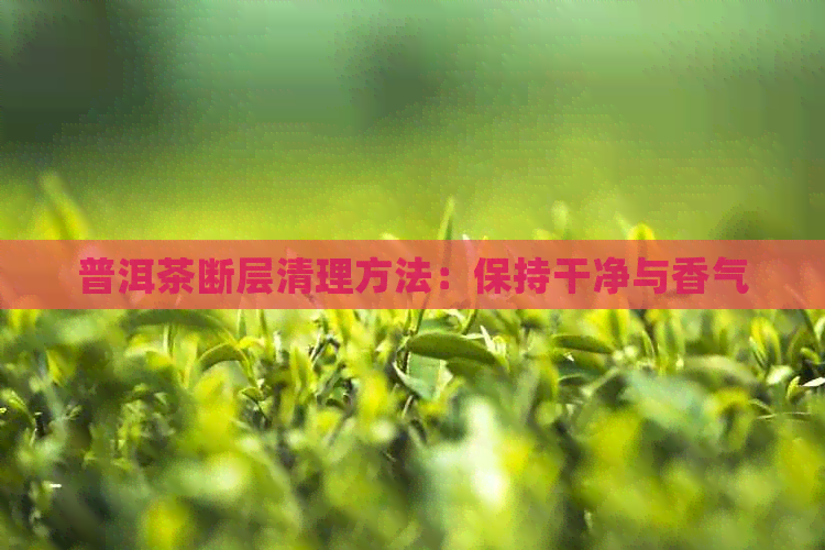 普洱茶断层清理方法：保持干净与香气