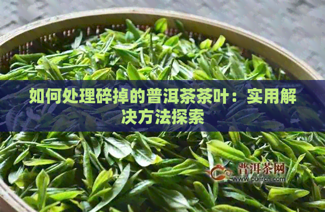 如何处理碎掉的普洱茶茶叶：实用解决方法探索