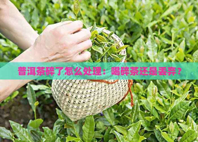 普洱茶碎了怎么处理：喝碎茶还是丢弃？