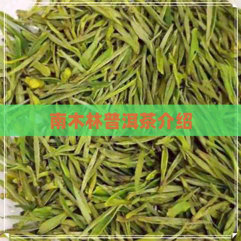 南木林普洱茶介绍