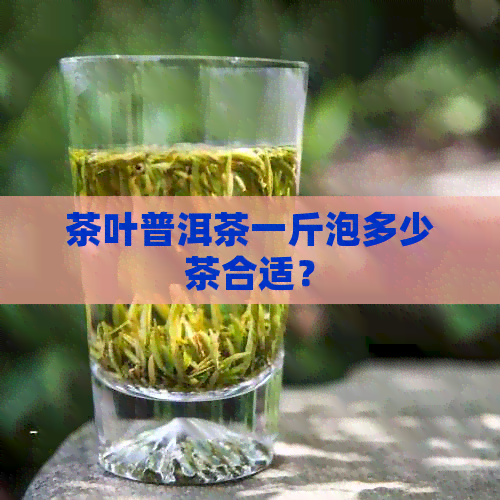 茶叶普洱茶一斤泡多少茶合适？