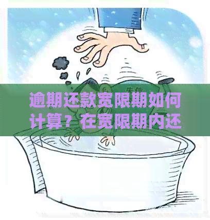 逾期还款宽限期如何计算？在宽限期内还款仍被算逾期的解决办法是什么？