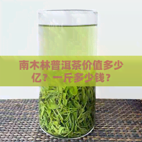 南木林普洱茶价值多少亿？一斤多少钱？