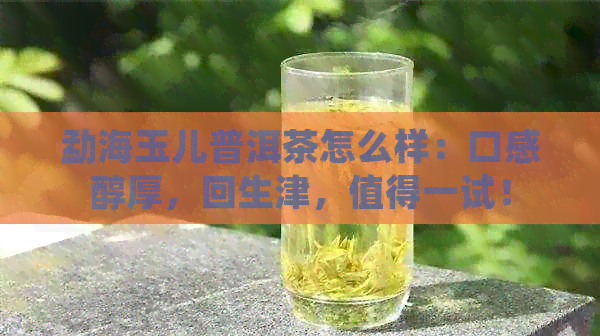 勐海玉儿普洱茶怎么样：口感醇厚，回生津，值得一试！