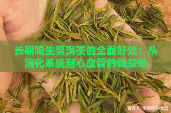 长期喝生普洱茶的全面好处：从消化系统到心血管的健益处