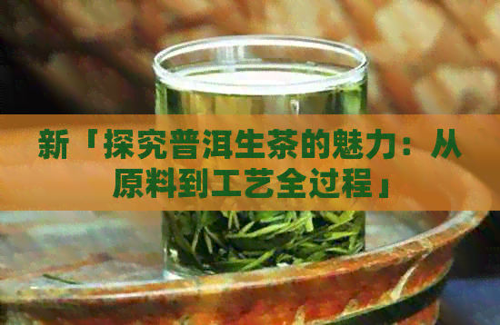 新「探究普洱生茶的魅力：从原料到工艺全过程」