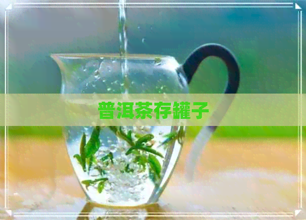 普洱茶存罐子