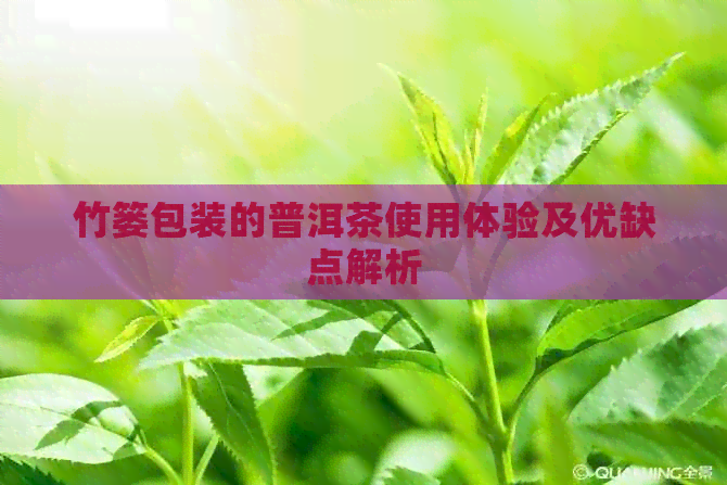 竹篓包装的普洱茶使用体验及优缺点解析