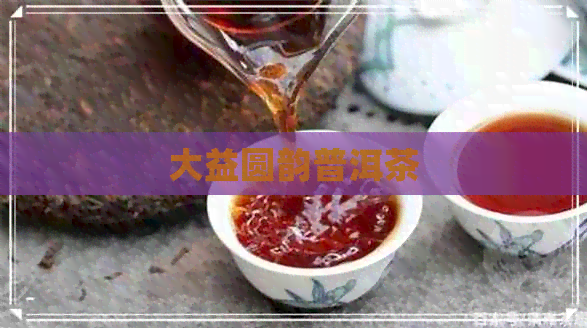 大益圆韵普洱茶