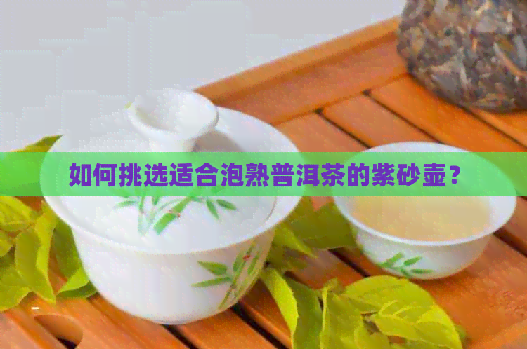 如何挑选适合泡熟普洱茶的紫砂壶？