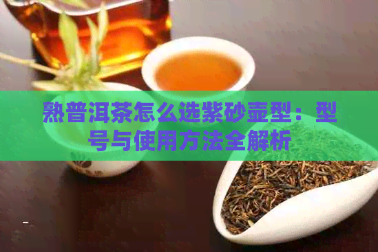 熟普洱茶怎么选紫砂壶型：型号与使用方法全解析