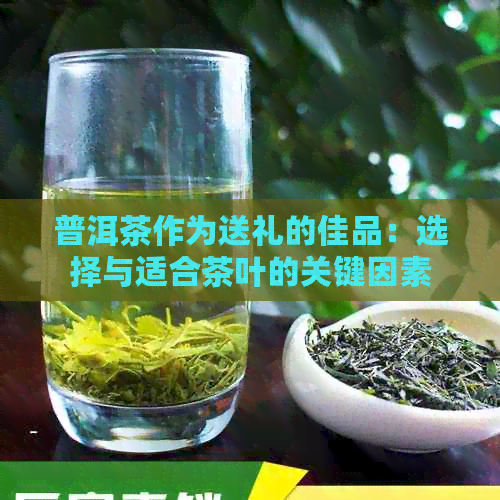 普洱茶作为送礼的佳品：选择与适合茶叶的关键因素