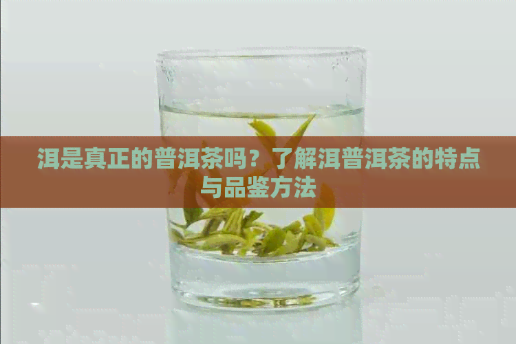 洱是真正的普洱茶吗？了解洱普洱茶的特点与品鉴方法