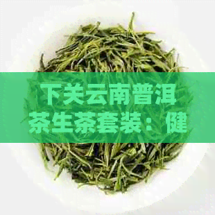 下关云南普洱茶生茶套装：健饮品新选择，商城价格全解析