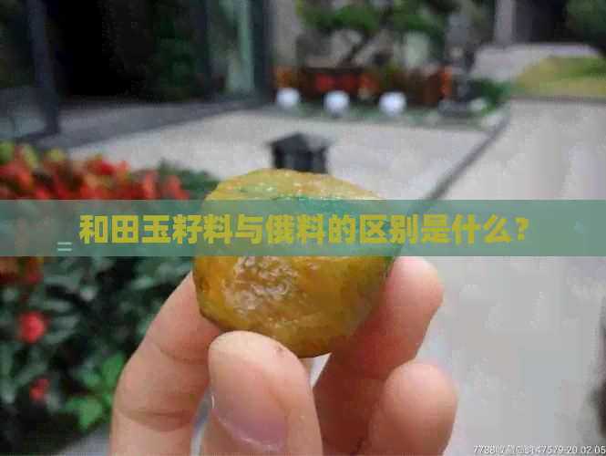 和田玉籽料与俄料的区别是什么？