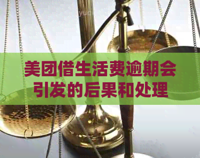 美团借生活费逾期会引发的后果和处理方式