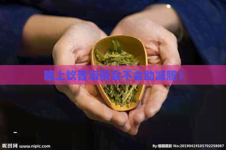 晚上饮普洱茶会不会助减肥？