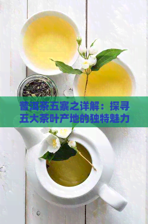 普洱茶五寨之详解：探寻五大茶叶产地的独特魅力