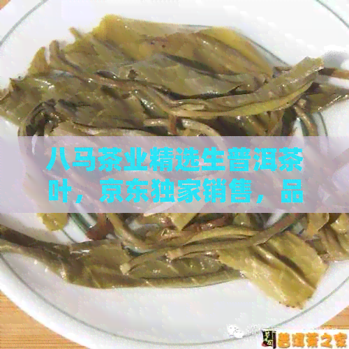 八马茶业精选生普洱茶叶，京东独家销售，品质保证，值得信