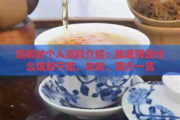 道明的个人资料介绍：陈道明是什么级别干部，年龄、简介一览