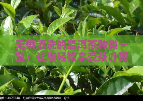 无需清洗的普洱茶种类一览：让您轻松享受茶叶原味