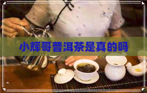 小辉哥普洱茶是真的吗