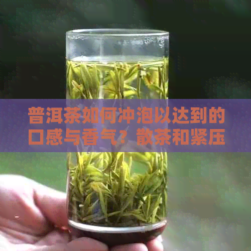 普洱茶如何冲泡以达到的口感与香气？散茶和紧压茶的冲泡技巧大揭秘！