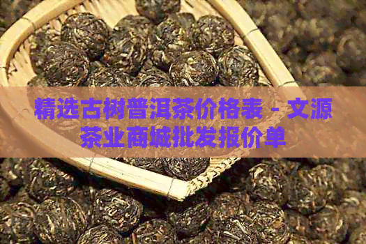 精选古树普洱茶价格表 - 文源茶业商城批发报价单