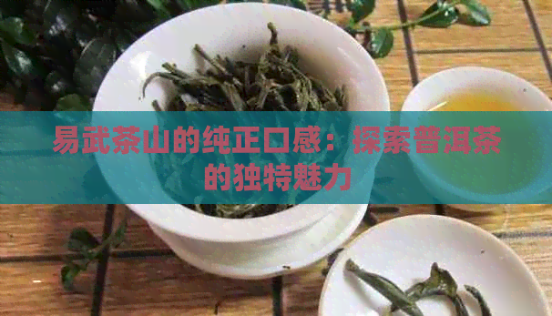 易武茶山的纯正口感：探索普洱茶的独特魅力