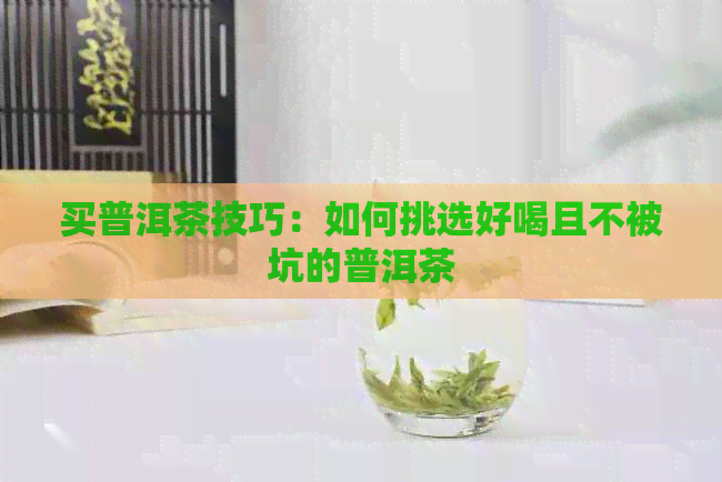 买普洱茶技巧：如何挑选好喝且不被坑的普洱茶