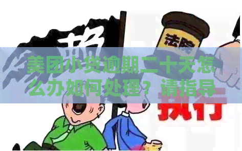 美团小贷逾期二十天怎么办如何处理？请指导。