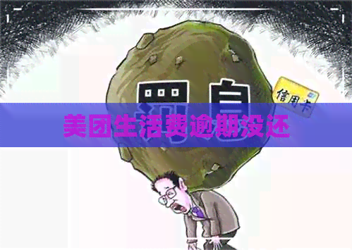 美团生活费逾期没还