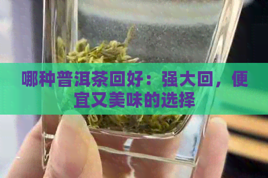 哪种普洱茶回好：强大回，便宜又美味的选择