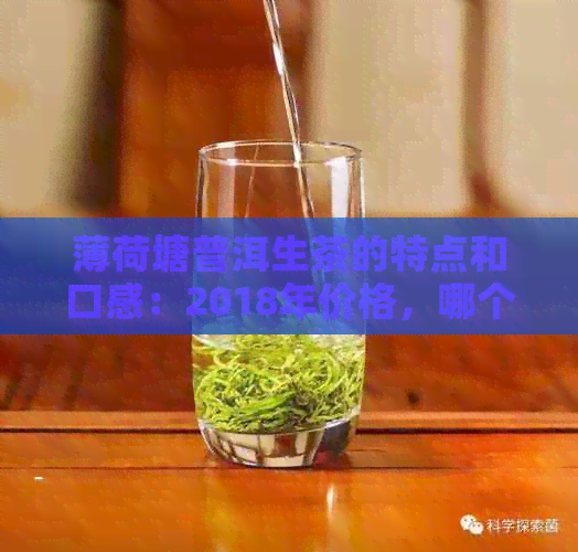 薄荷塘普洱生茶的特点和口感：2018年价格，哪个茶山的？