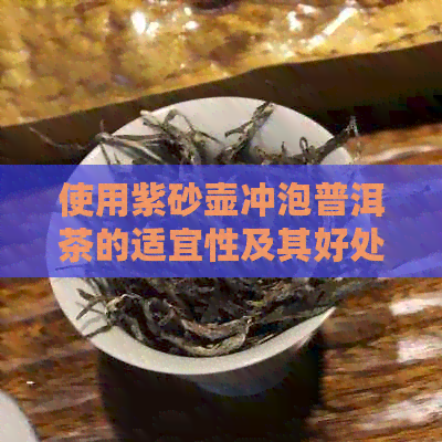 使用紫砂壶冲泡普洱茶的适宜性及其好处探讨