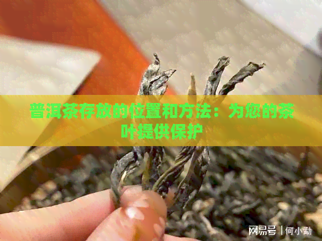 普洱茶存放的位置和方法：为您的茶叶提供保护